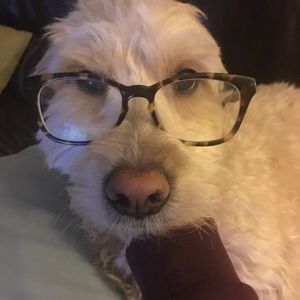 Meet your Posher, Jen